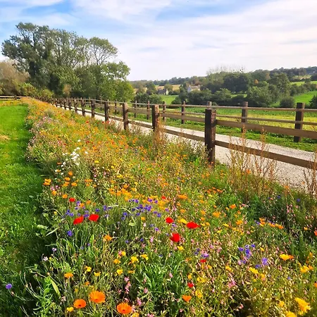 Domaine De Houtteville - - Omaha Normandy 別荘 *