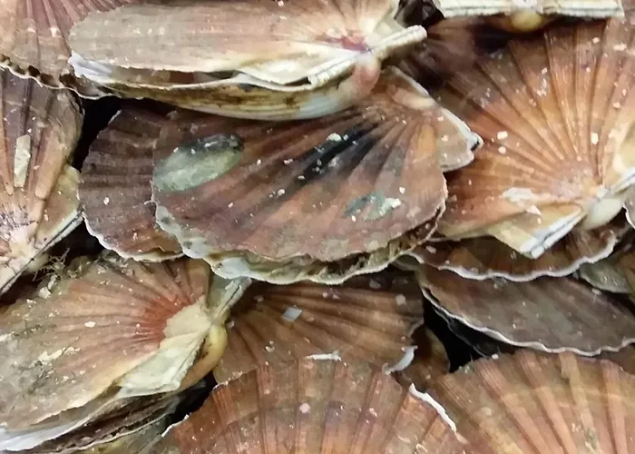 Domaine De Houtteville - - Omaha Normandy