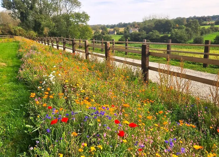 Domaine De Houtteville - - Omaha Normandy Ferienhaus *